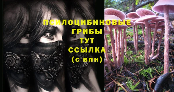 скорость Арсеньев