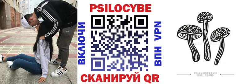 Псилоцибиновые грибы Psilocybine cubensis Красный Холм