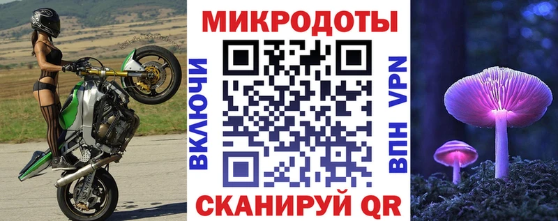 Галлюциногенные грибы Psilocybe Красный Холм